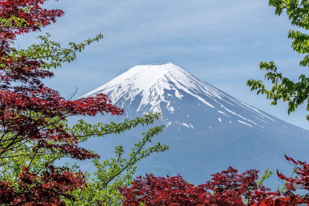 Séjour Japon