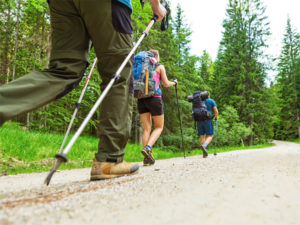 Lire la suite à propos de l’article Les bienfaits de la marche et de la randonnée