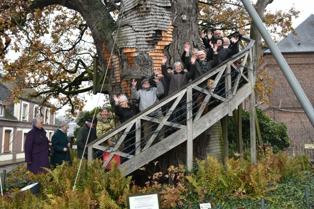 Visite d'une arbre millénaire Eure 27