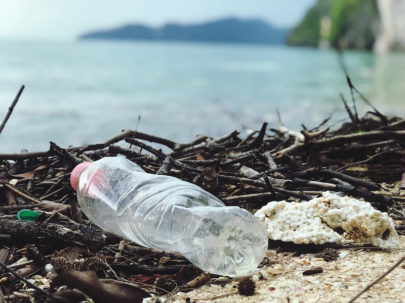 Lire la suite à propos de l’article Cinquantenaire de la Journée Mondiale pour l’Environnement : « Trouver des solutions à la pollution plastique »