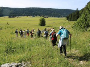 Lire la suite à propos de l’article « Randonner Autrement », un séjour adapté pour les seniors dans le Jura
