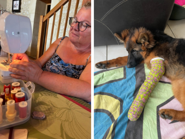 Club Libellules - Au fil du partage 2