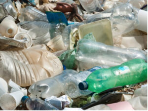 Lire la suite à propos de l’article La pollution plastique : enjeux et solutions