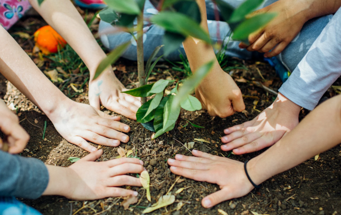 Les Balades NAture_1er prix G. Actions 2026