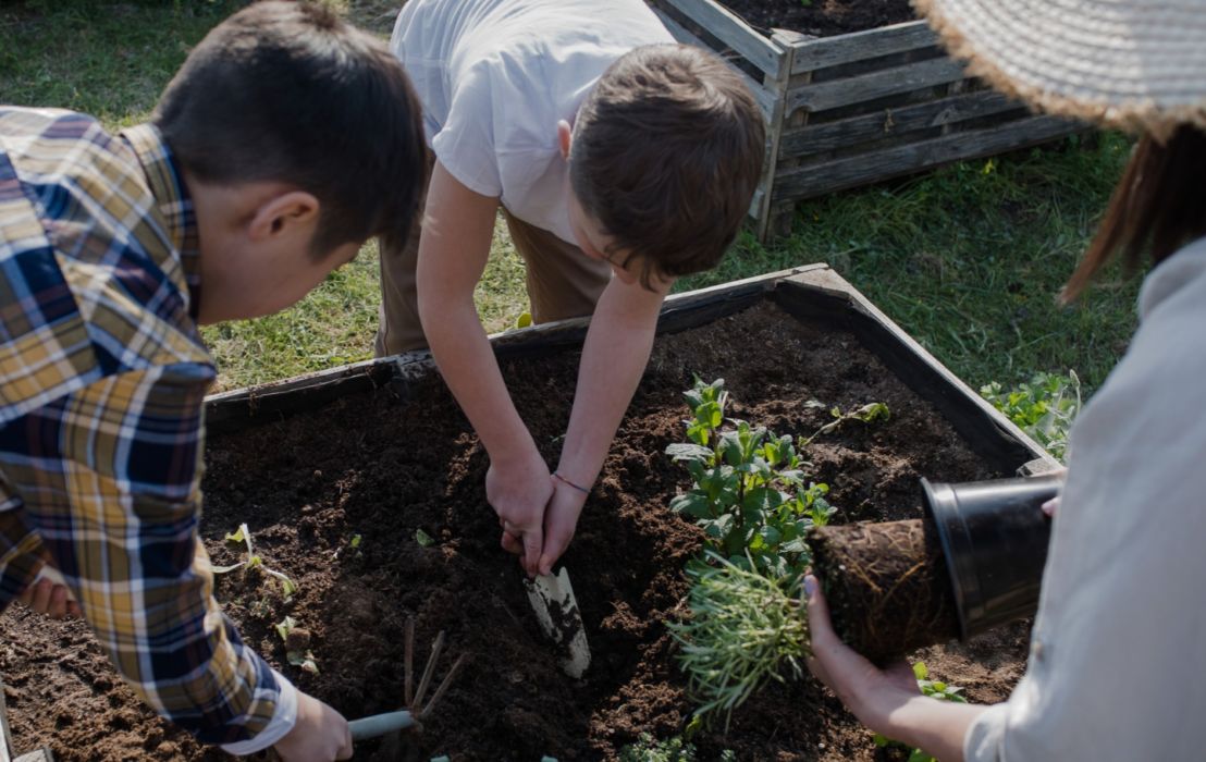Les Balades Nature_1er prix G. Actions 2026 2