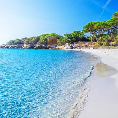 CORSE CORSE