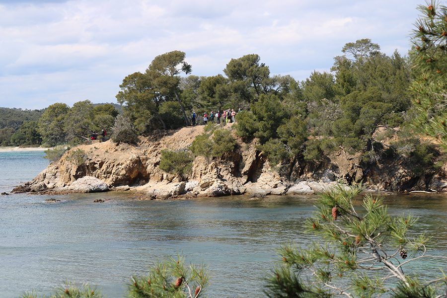 IMG_4143 copie