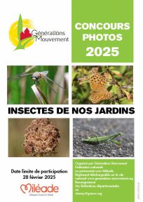 affiche photos 2025