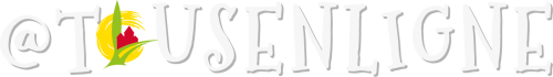 logo tousenligne logo tousenligne