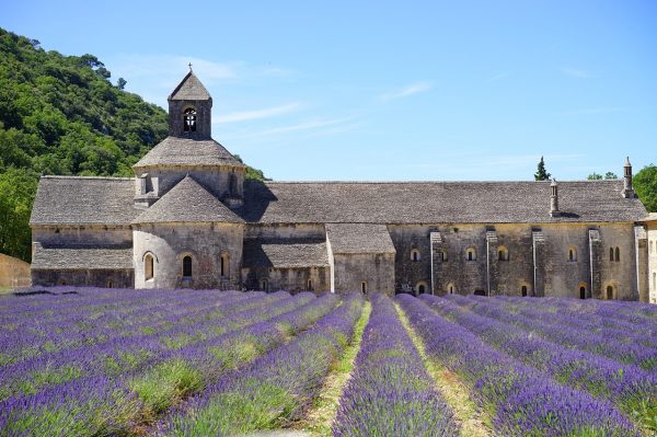 vaucluse vaucluse