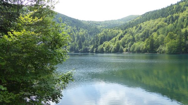 vosges vosges